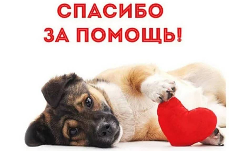 Благотворительная акция &amp;quot;Доброе дело&amp;quot;.